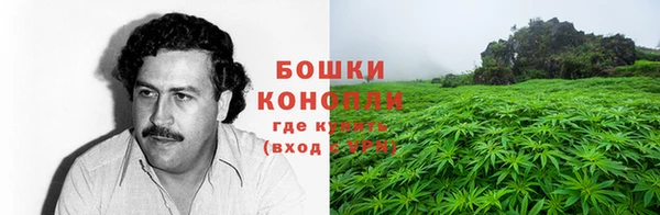 мдпв Новозыбков