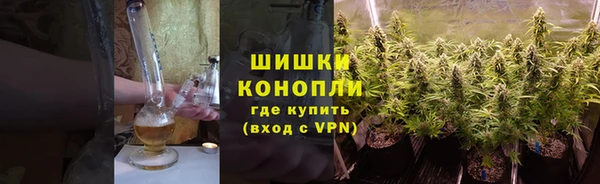 ПСИЛОЦИБИНОВЫЕ ГРИБЫ Новодвинск