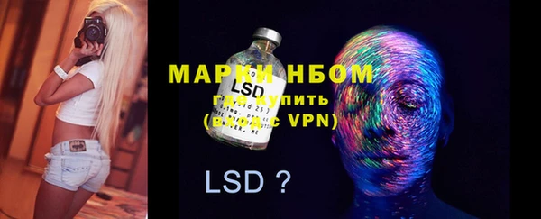 ПСИЛОЦИБИНОВЫЕ ГРИБЫ Новодвинск