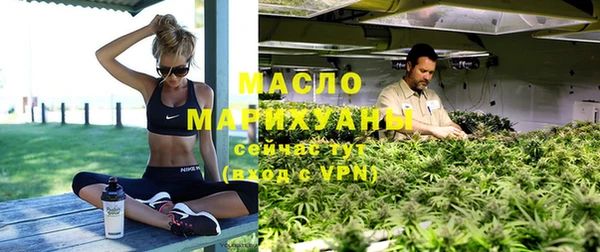 мдпв Новозыбков