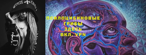ПСИЛОЦИБИНОВЫЕ ГРИБЫ Новодвинск