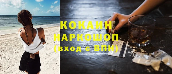 мдпв Новозыбков