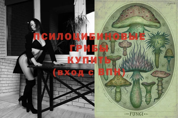 мдпв Новозыбков