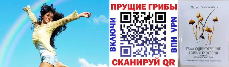Галлюциногенные грибы GOLDEN TEACHER Руза